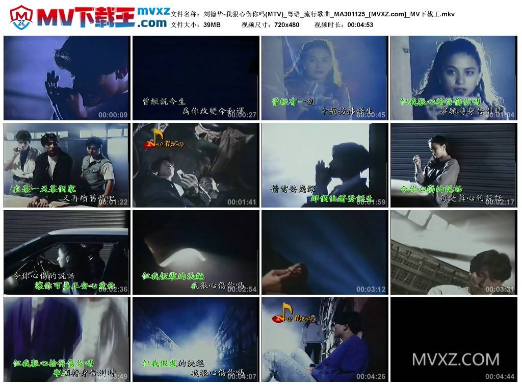 刘德华-我狠心伤你吗(MTV)_粤语_流行歌曲_MA301125